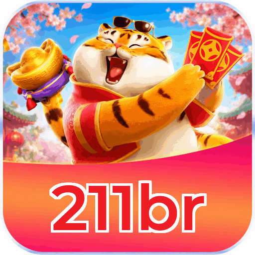 211br