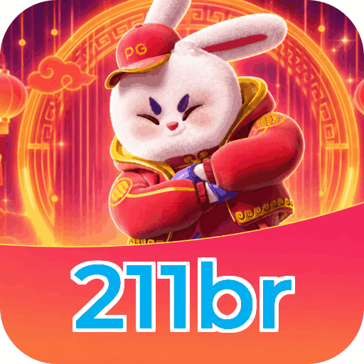 211br